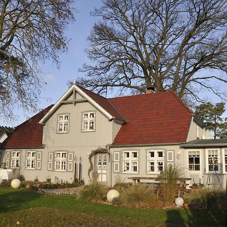 Traumfaengerhaus Engel Lejlighed Prerow Eksteriør billede